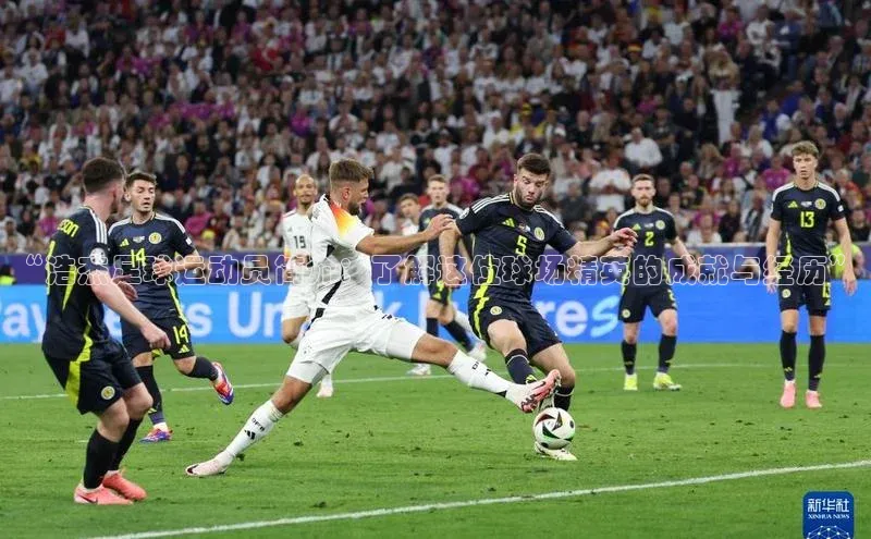 加拿大28圈下载美团