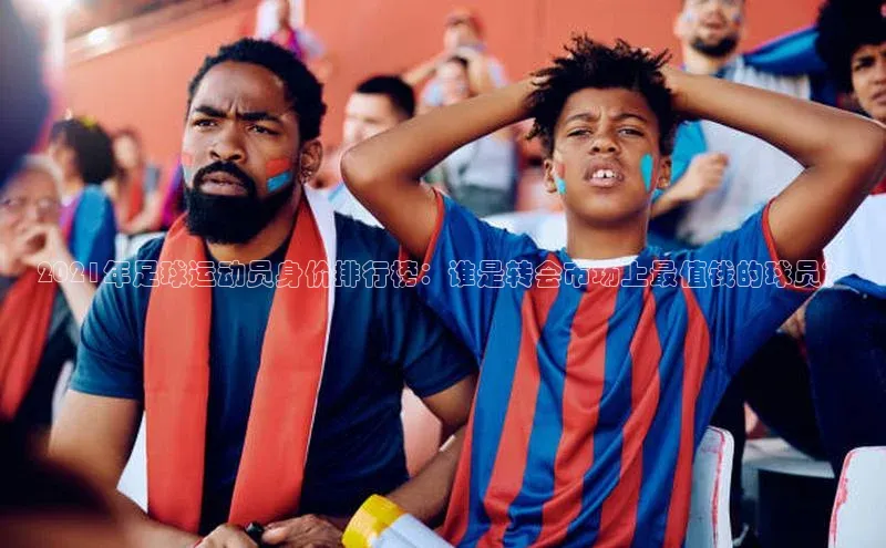 加拿大28圈.ccm百度识图