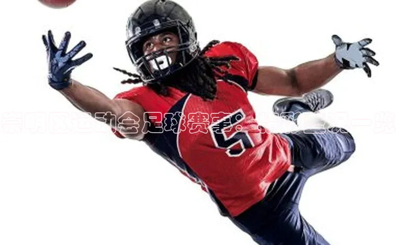 28圈平台官网版下载字节跳动