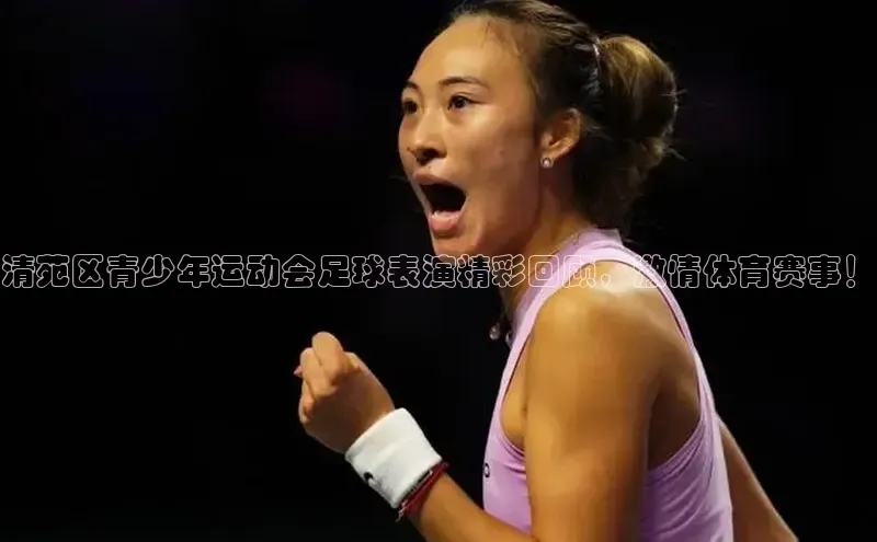 28圈.ccmpc29官网版下载百度手机输入法