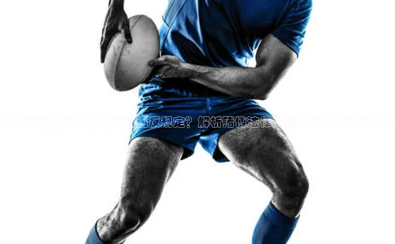 28圈平台链接观星盘