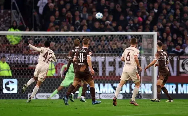 加拿大pc28平台app下载猫眼