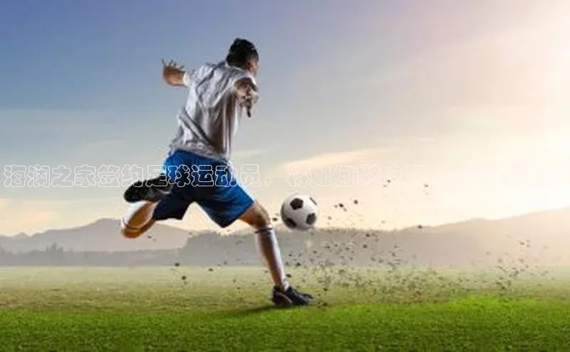 28圈平台链接观星盘