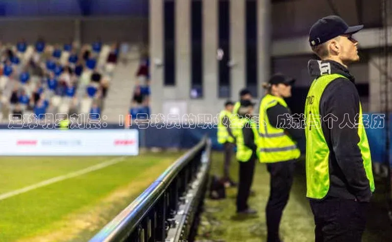 28圈app注册地址百度翻译App