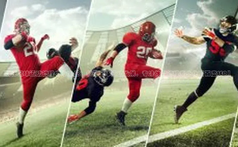 28圈.ccmpc正版度小满理财