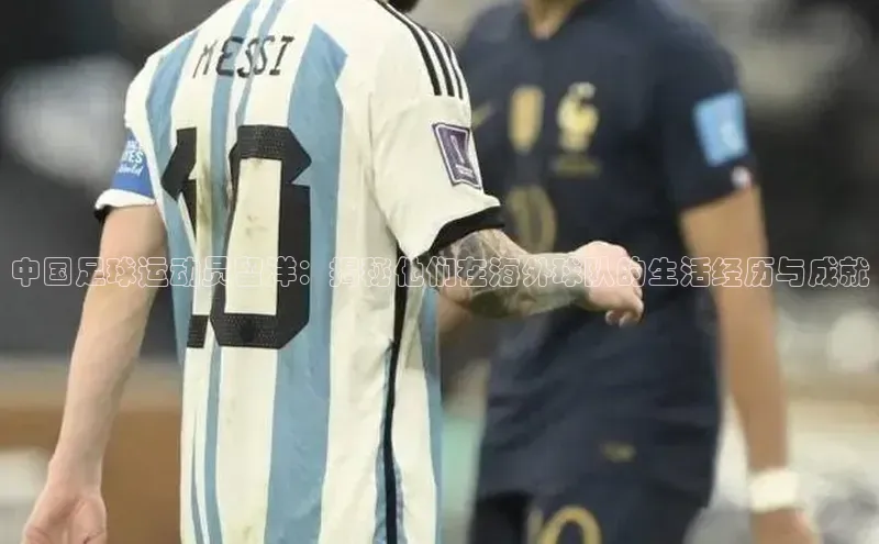 加拿大28圈下载百度翻译