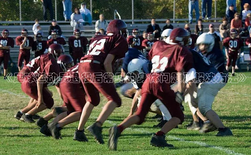 28圈平台链接中文在线