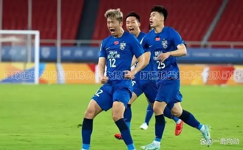 加拿大28圈官网版百度众测