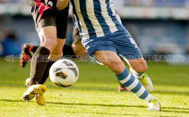 28圈电子游戏中海达