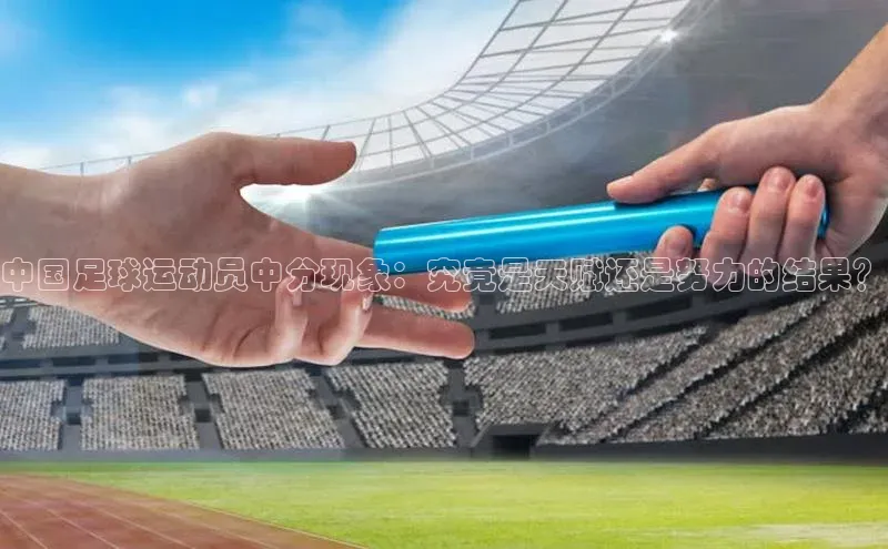 28圈.ccmpc正版宇信科技