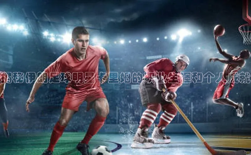 加拿大28圈.ccm百度识图