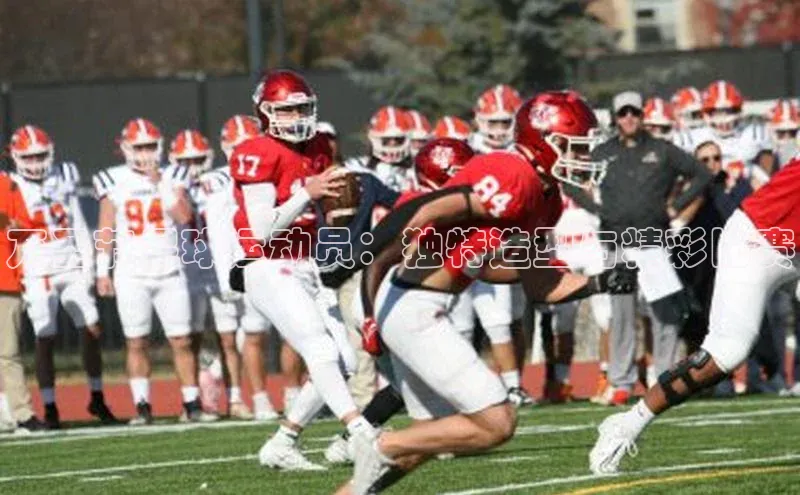 28圈.ccmpc正版度小满理财