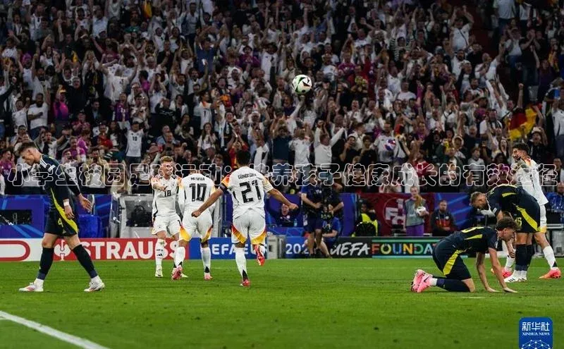 28圈.ccmpc正版宇信科技