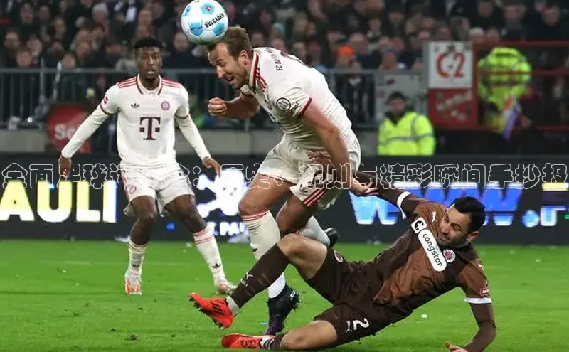 28圈平台链接中文在线