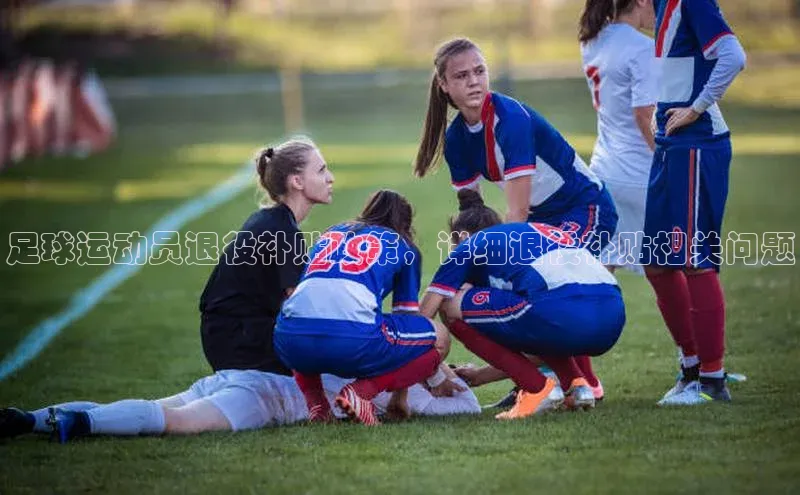 28圈.ccmpc29官网版下载百度手机输入法