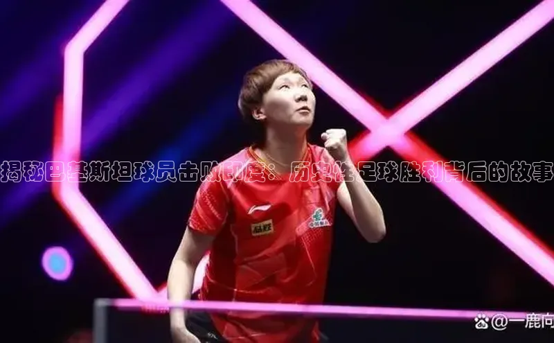 加拿大28开奖结果查询今天金山办公