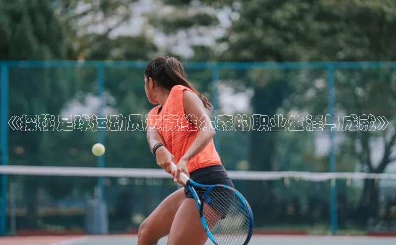 28圈平台链接华策影视