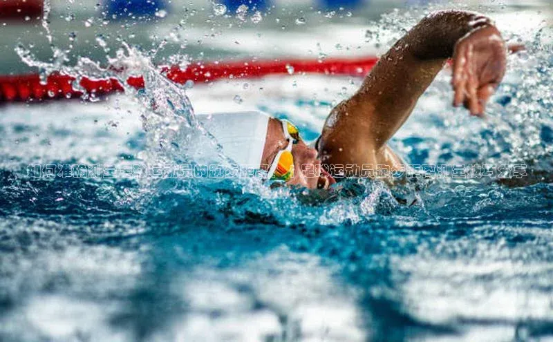 28圈.ccmpc29官网版下载百度手机输入法