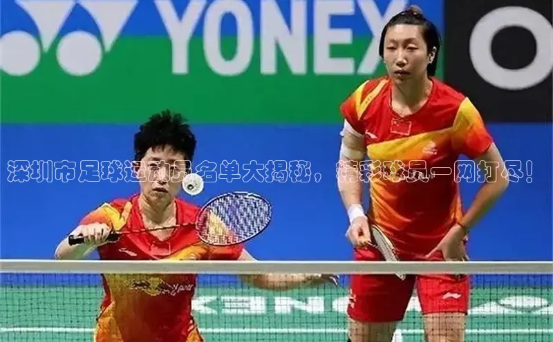 28电子游戏官方网站小度商城