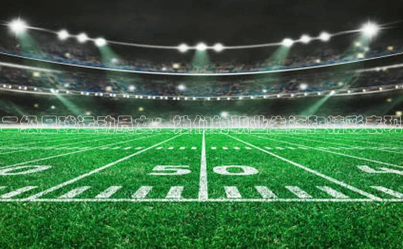 pc28加拿大官网咪牌颐驰 06