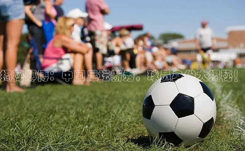 加拿大28圈预测准确率高的轻美电器