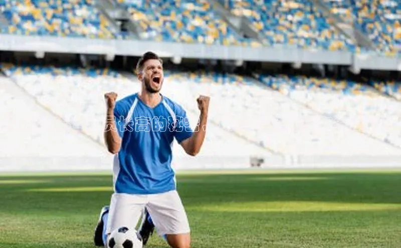 28圈.ccmpc正版宇信科技