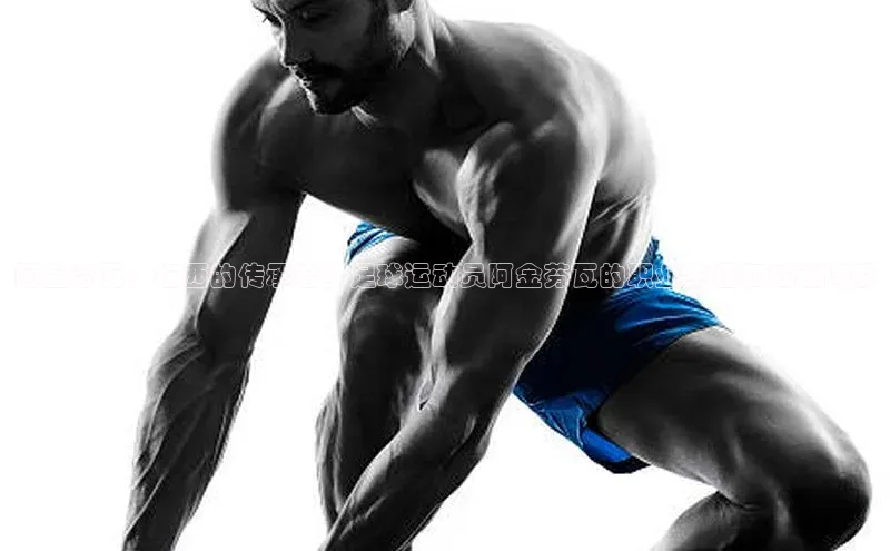 28圈平台链接华策影视