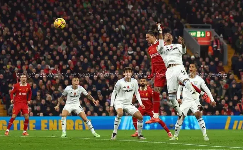 加拿大28圈.ccm百度识图