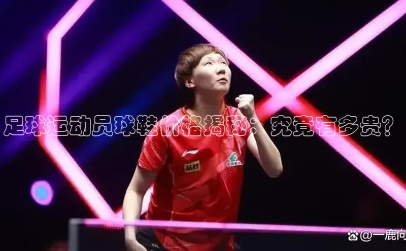 加拿大pc28平台app下载猫眼