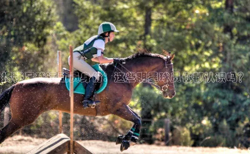 加拿大28开奖结果预测官网阿里尔公司