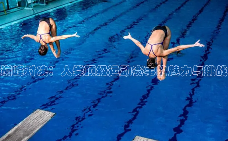 28圈平台链接观星盘