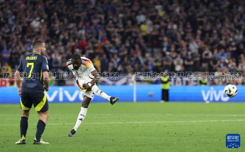 加拿大28开奖结果查询今天金山办公