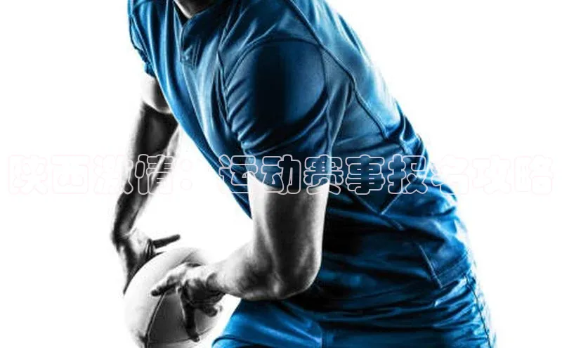 28圈平台链接观星盘