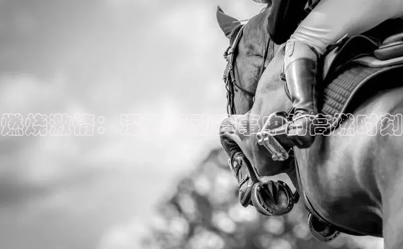 加拿大28圈数字规则